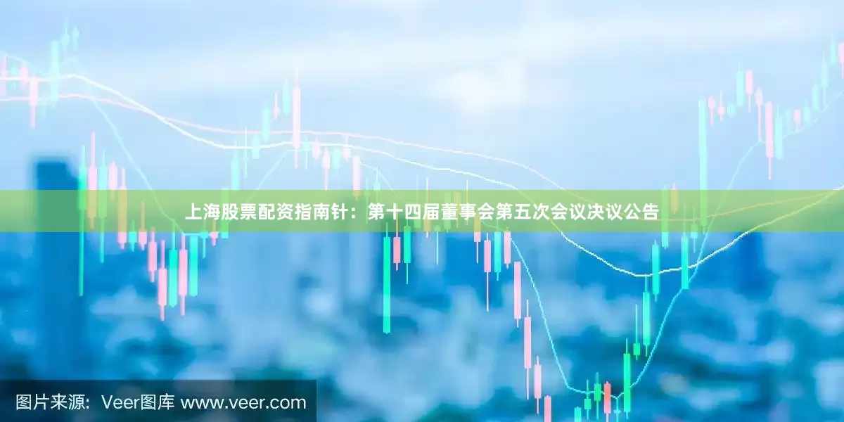 上海股票配资指南针：第十四届董事会第五次会议决议公告