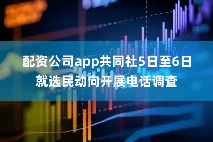 配资公司app　　共同社5日至6日就选民动向开展电话调查