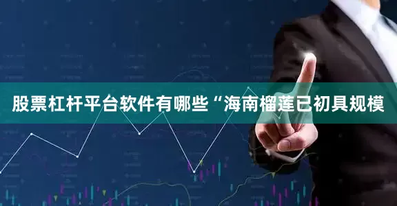 股票杠杆平台软件有哪些 “海南榴莲已初具规模