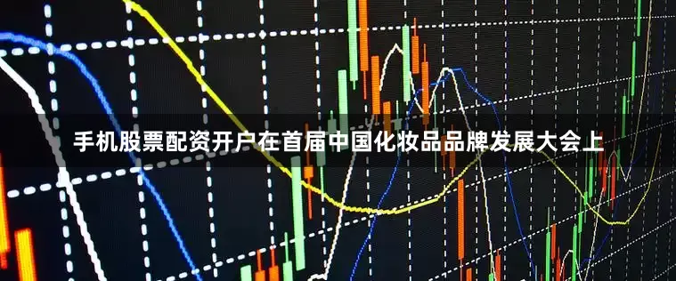 手机股票配资开户在首届中国化妆品品牌发展大会上