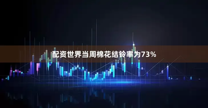 配资世界当周棉花结铃率为73%